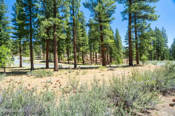 Carson City, NV 89705,46 Boulders Bnd #117