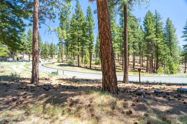 Carson City, NV 89705,46 Boulders Bnd #117