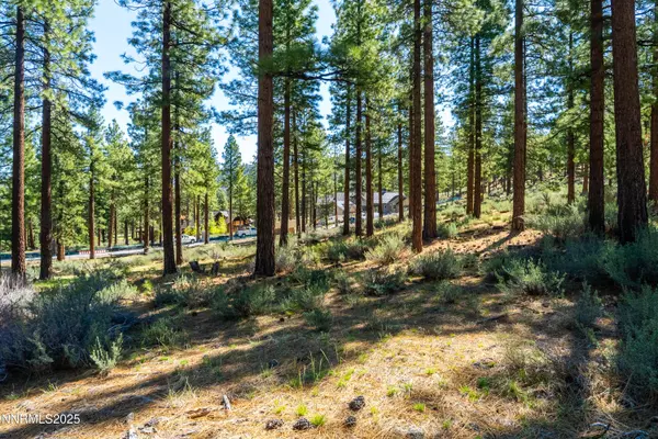 Carson City, NV 89705,249 Redding WAY Way