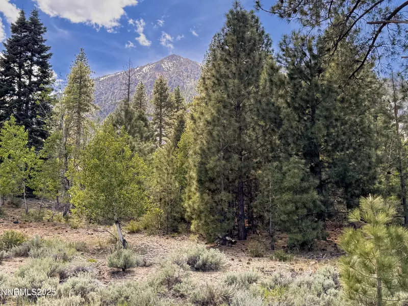 490 Nature'S Edge RD, Gardnerville, NV 89410