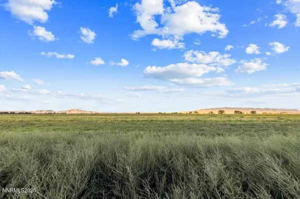 Smith Valley, NV 89444,2673 NV-208 HWY