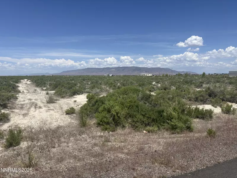 1565 William Harrison, Battle Mountain, NV 89820