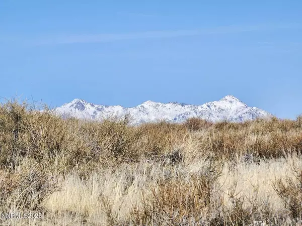 Winnemucca, NV 89445,0 Blue Mountain RD Road