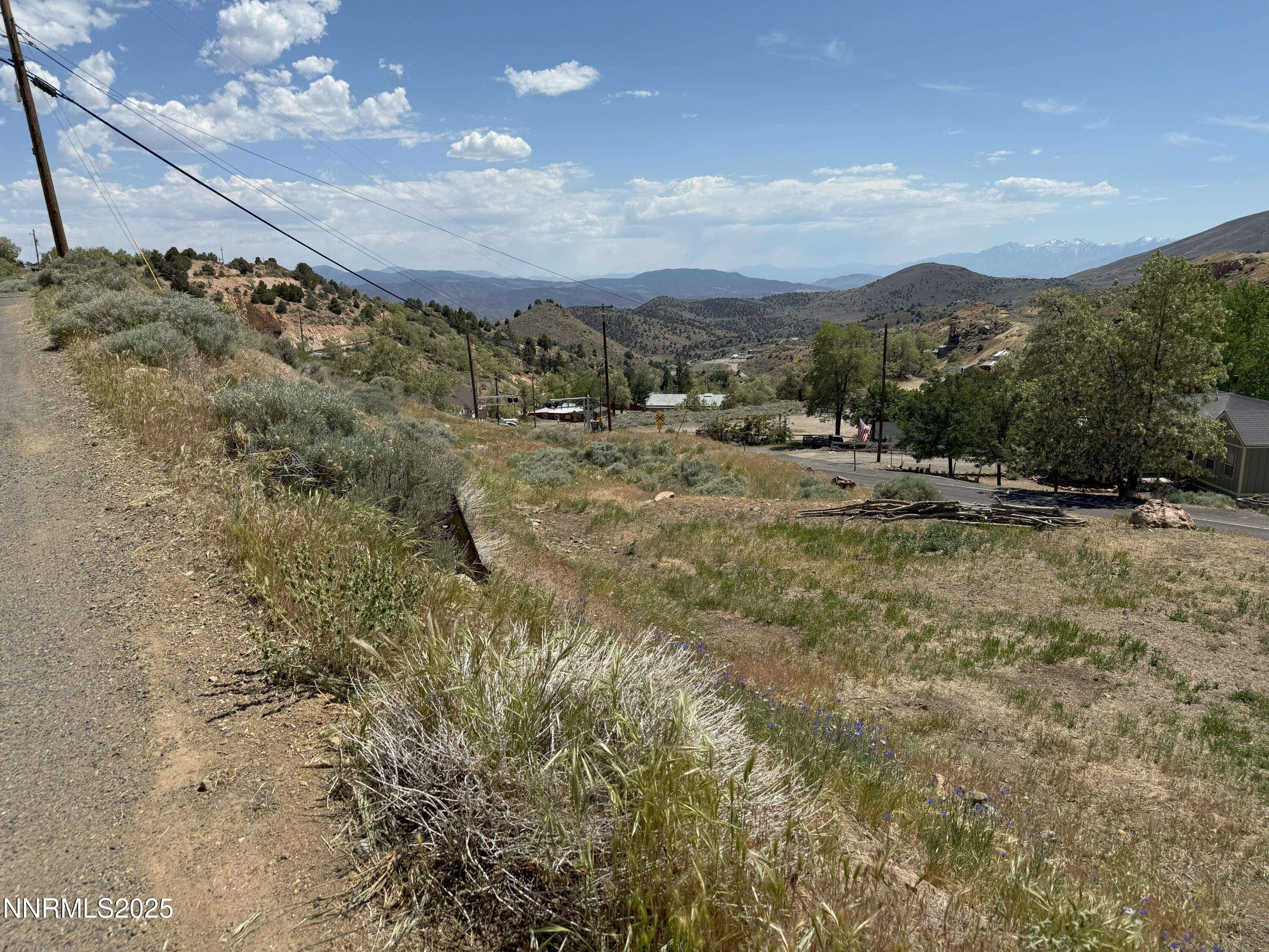 Virginia City, NV 89440,1341 N Main ST Street