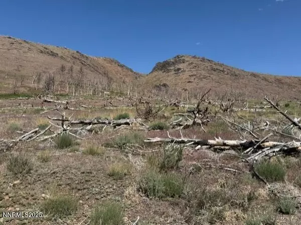 Gardnerville, NV 89410,tbd Hwy 395 #1