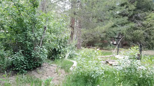Jarbidge, NV 89826,993 E Side AVE