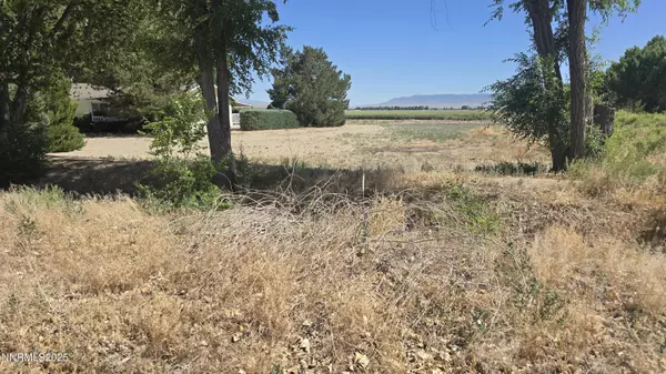012-131-26 Mason RD Road, Yerington, NV 89447