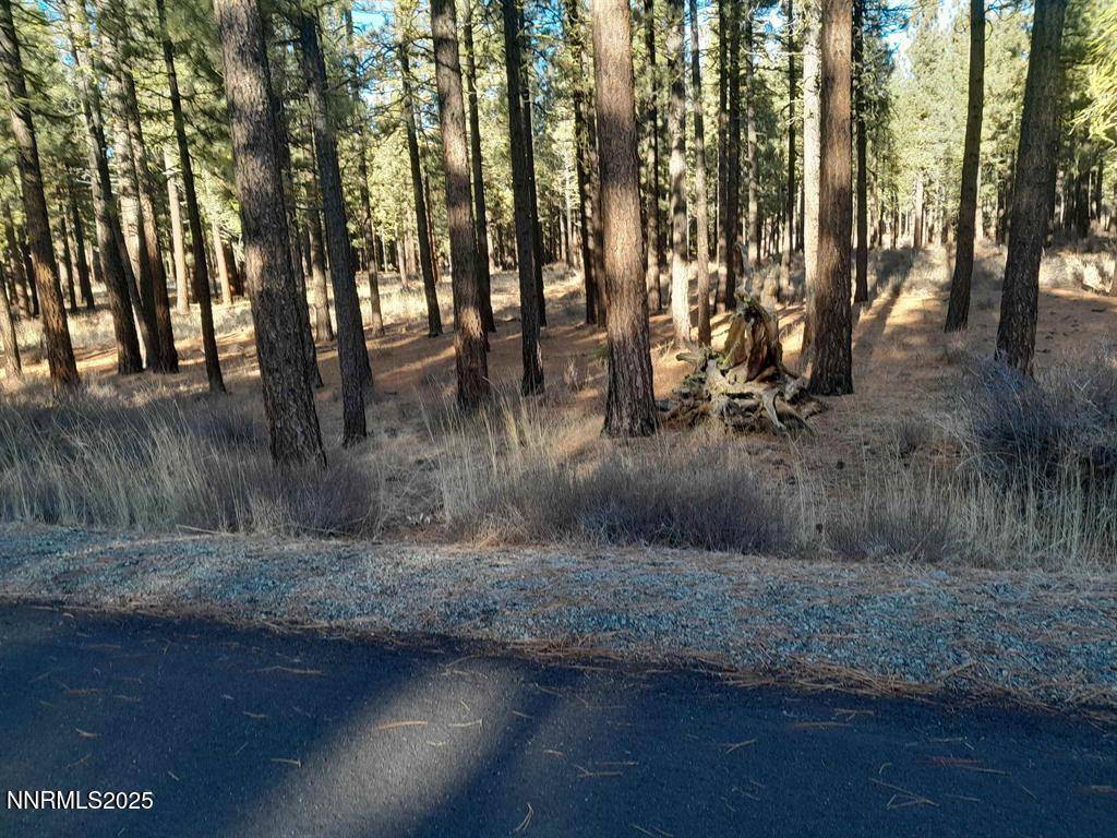 Portola, CA 96122,202 Village TRL Trail #36