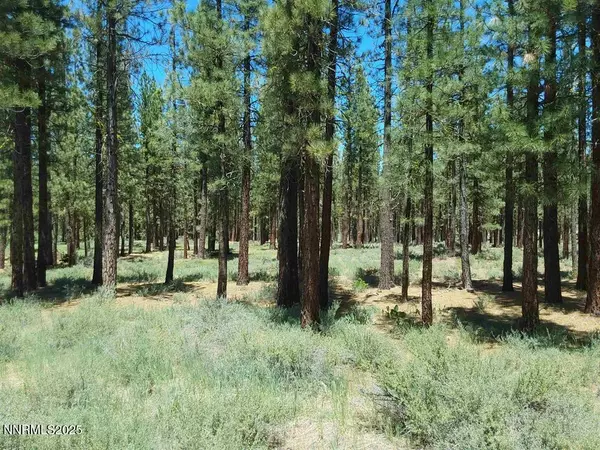 Portola, CA 96122,202 Village #36