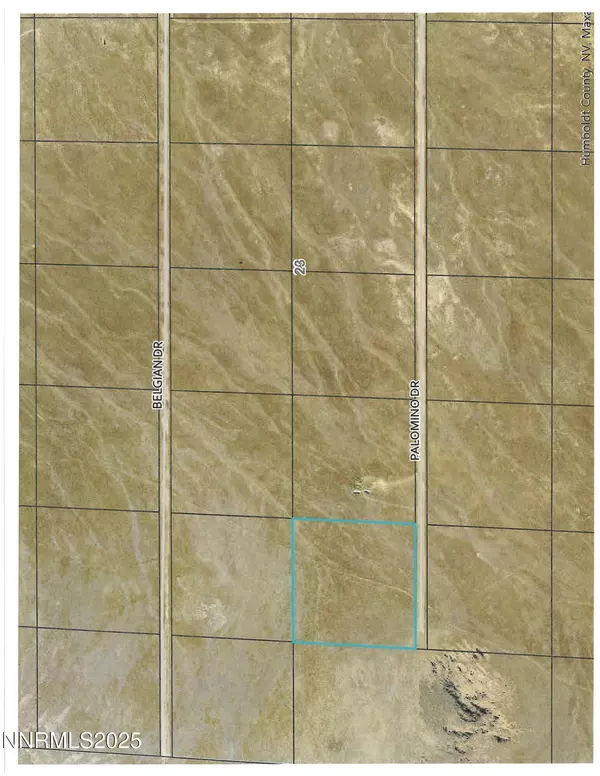 Golconda, NV 89414,08067107 Palomino Rd