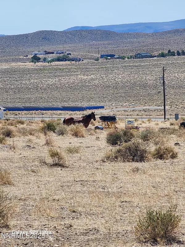 0 Glick RD Road, Silver Springs, NV 89429