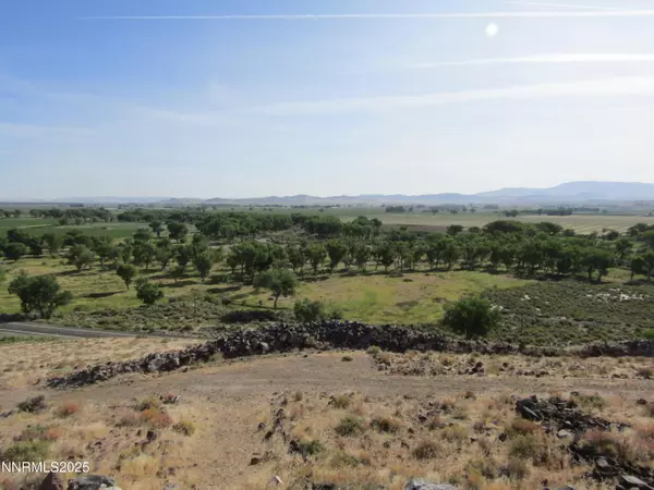 Yerington, NV 89447,TBD Hwy 339