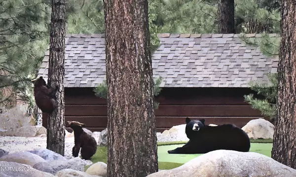 Reno, NV 89511,16555 Evergreen Hills