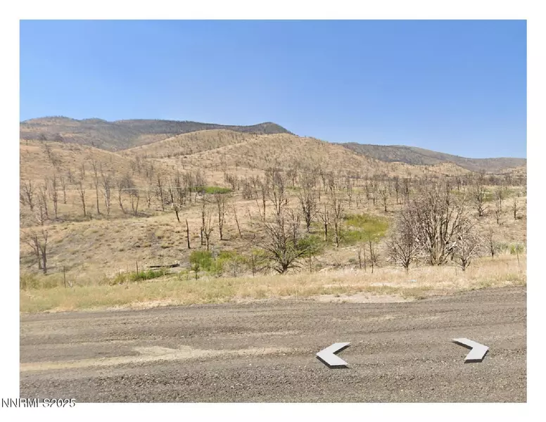 TBD Devenpeck DR Drive #1.2.3, Double Spring, NV 89410