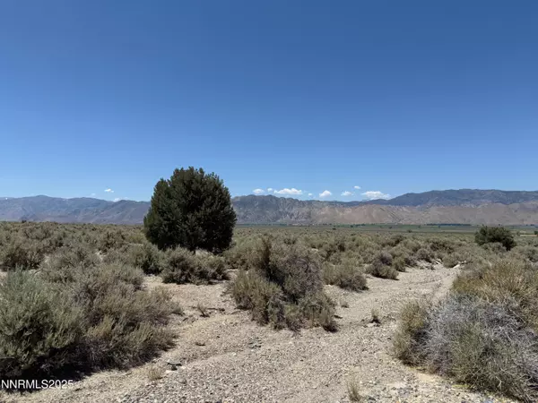 Gardnerville, NV 89410,TBD Fenceline Road