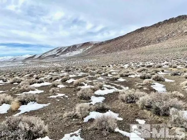 Silver Springs, NV 89429,8360 S Highway 95A