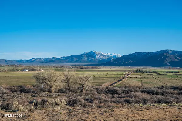 Wellington, NV 89444,191 Artist View