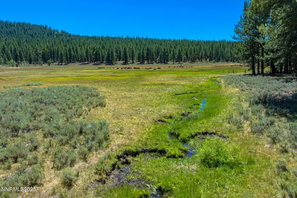 Loyalton, CA 96118,XXX Smithneck