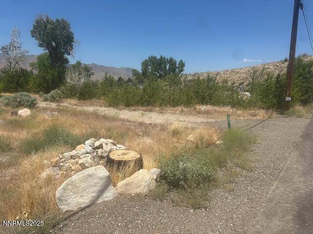 Coleville, CA 96107,105 E Side LN Lane