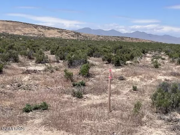 Golconda, NV 89414,08-0591-27 Matthew Lane, Button Point