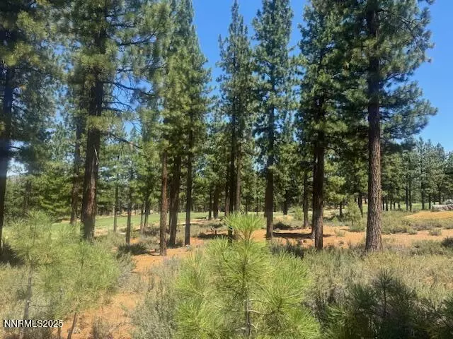 184 Redding WAY #261, Carson City, NV 89705