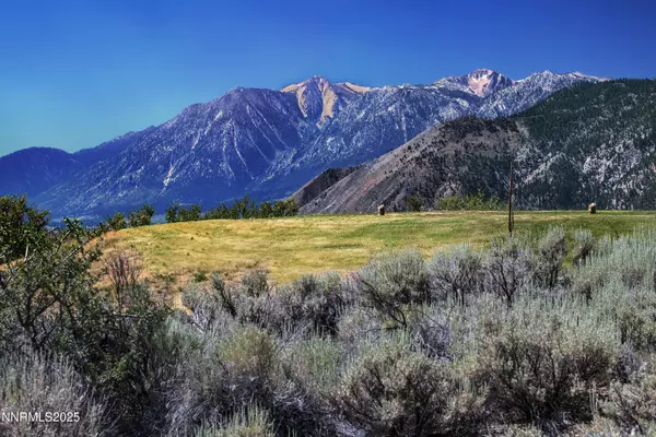 Genoa, NV 89411,343 James Canyon