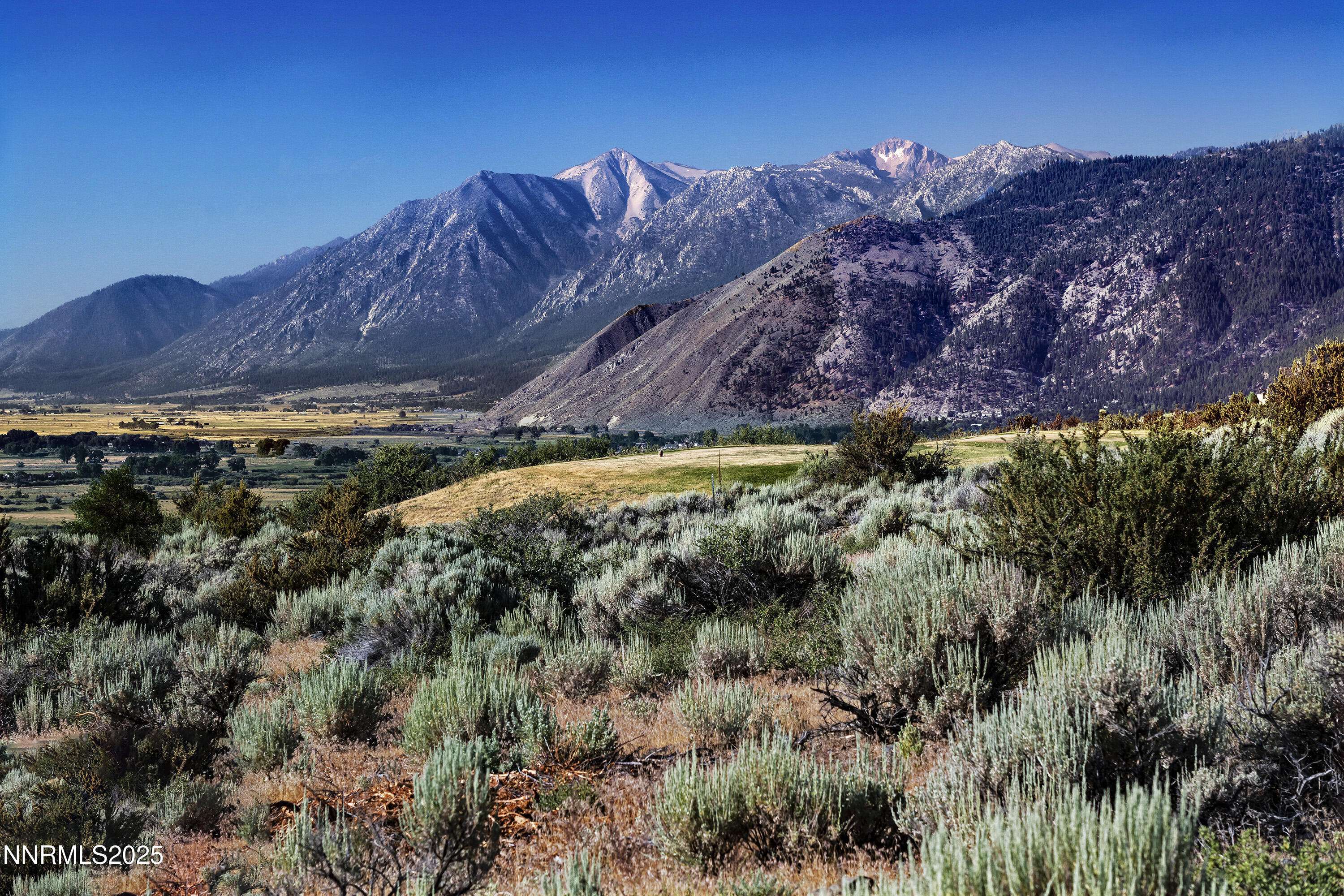 343 James Canyon LOOP Loop, Genoa, NV 89411