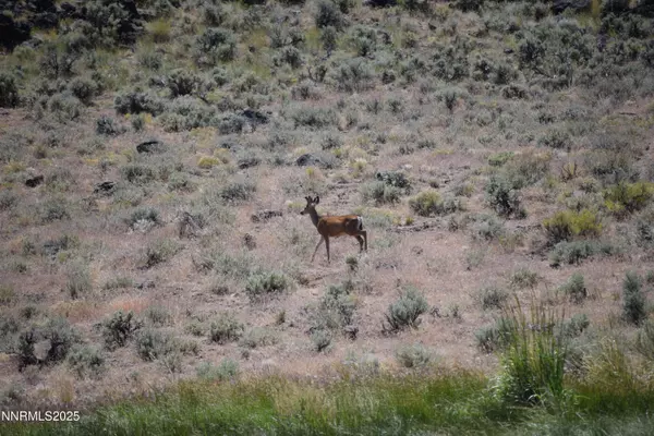 Gerlach, NV 89412,3304 High Rock Road