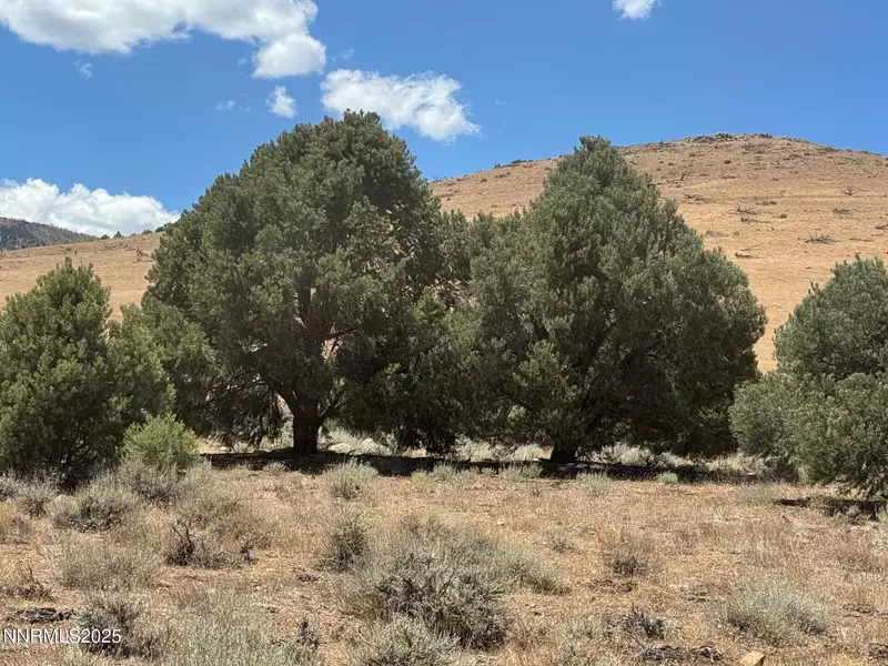 1400 Breccia, Gardnerville, NV 89444