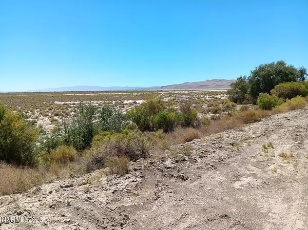Fallon, NV 89406,APN 007-091-70 Canal Rd.