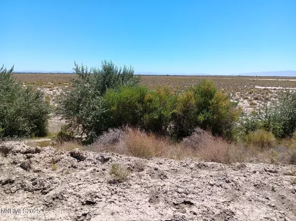 Fallon, NV 89406,APN 007-091-75 Casey Rd.