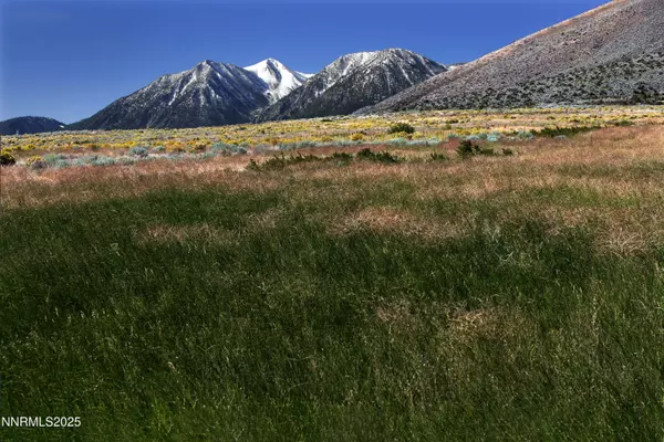 Genoa, NV 89411,315 James Canyon Loop