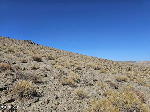 Yerington, NV 89447,12.92ac Patented Mining Claim