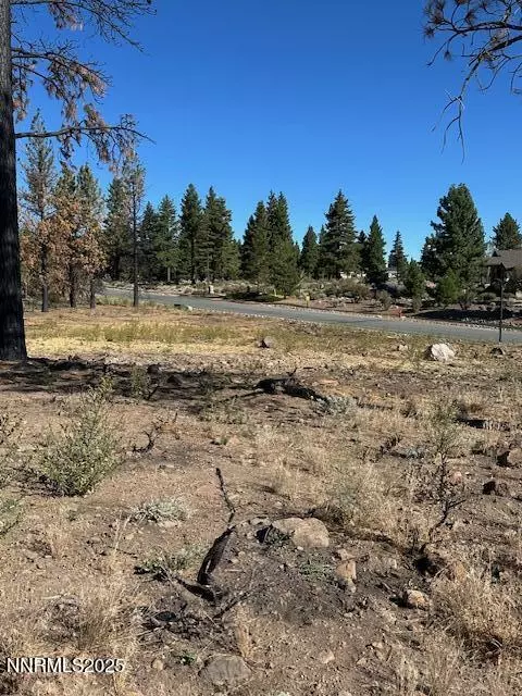 Reno, NV 89511,605 Sand Cherry CT