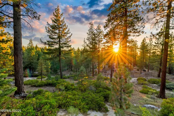 Stateline, NV 89449,488 Laurel LN