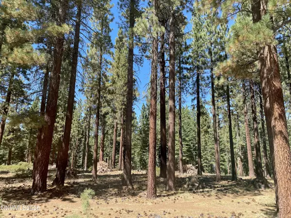 Stateline, NV 89449,218 Ponderosa DR