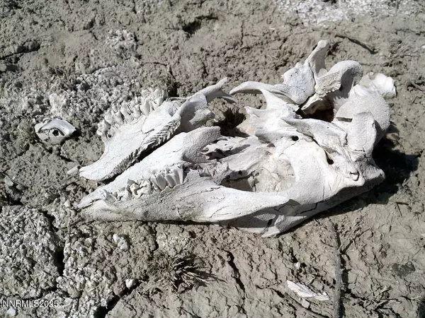 Lovelock, NV 89419,T26 R31 SEC 30 007-381-08