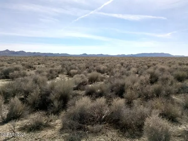 Lovelock, NV 89419,T26 R31 SEC 30 007-381-08