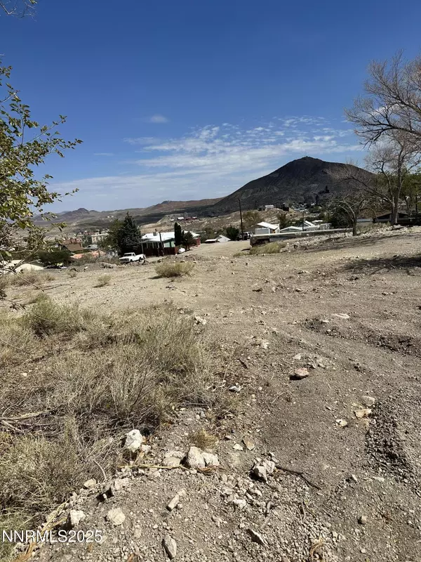 Tonopah, NV 89049,370 S Arizona ST