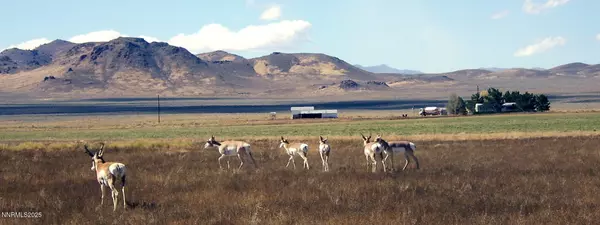 Austin, NV 89310,6715 Antelope CIR