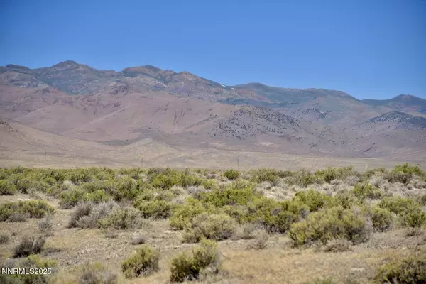 Imlay, NV 89418,13 Buena Vista Valley