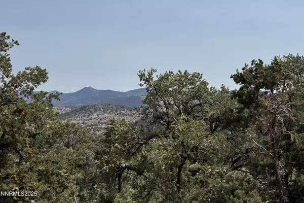 Reno, NV 89521,1564 Bonanza RD