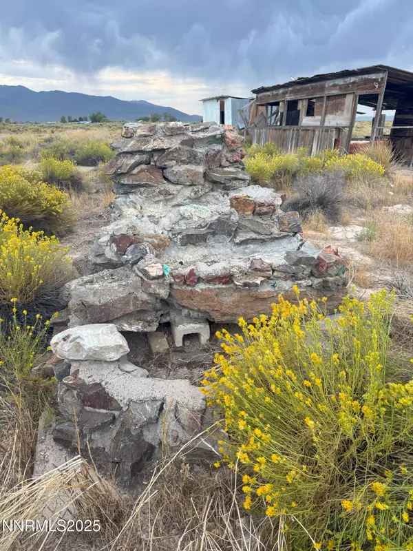 Battle Mountain, NV 89820,1980 Millard Fillmore