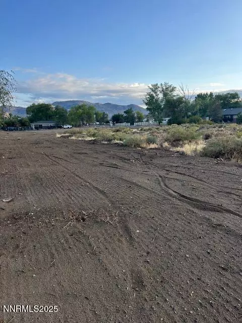 Minden, NV 89423,2608 Gordon