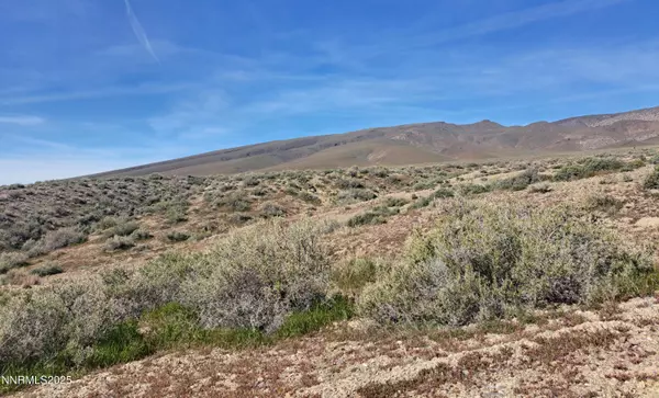 Lovelock, NV 89419,01564002 Near Buffalo Mountain