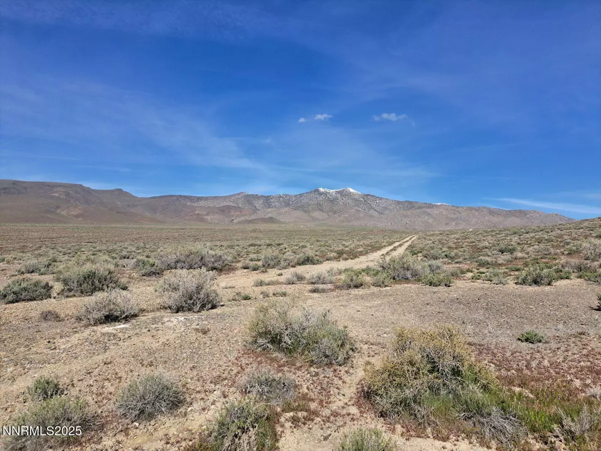 Lovelock, NV 89419,01564002 Near Buffalo Mountain