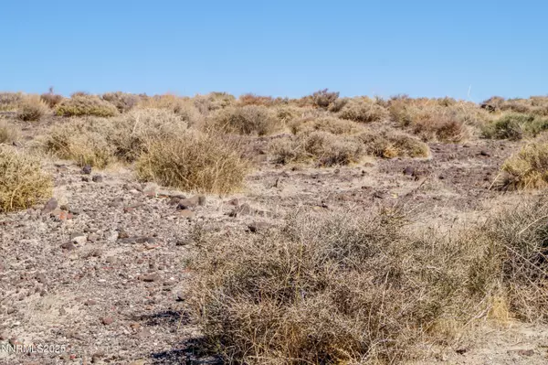 Fernley, NV 89408,11 Salvage LN