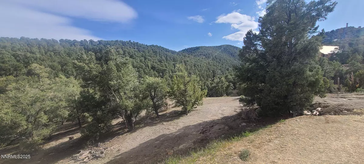 Reno, NV 89521,21685 Palamino RD