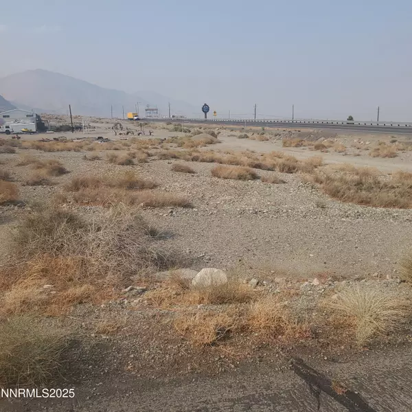 Walker Lake, NV 89415,386 Golden Willow DR