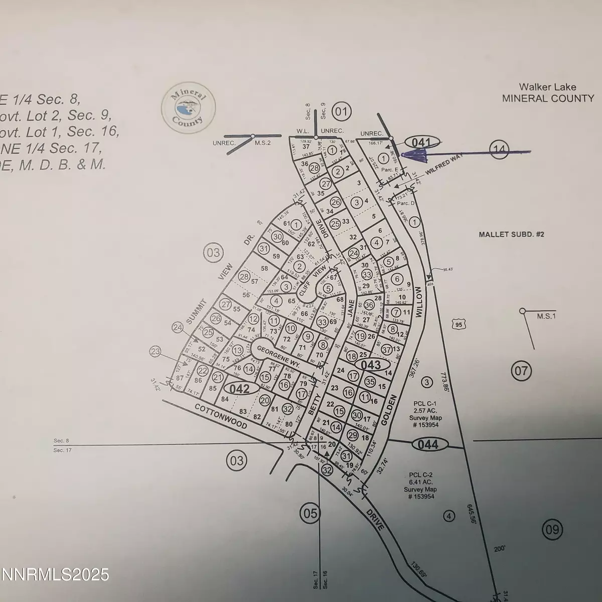 Walker Lake, NV 89415,386 Golden Willow DR